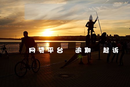 网贷平台 逾期 起诉 网贷平台 逾期 起诉